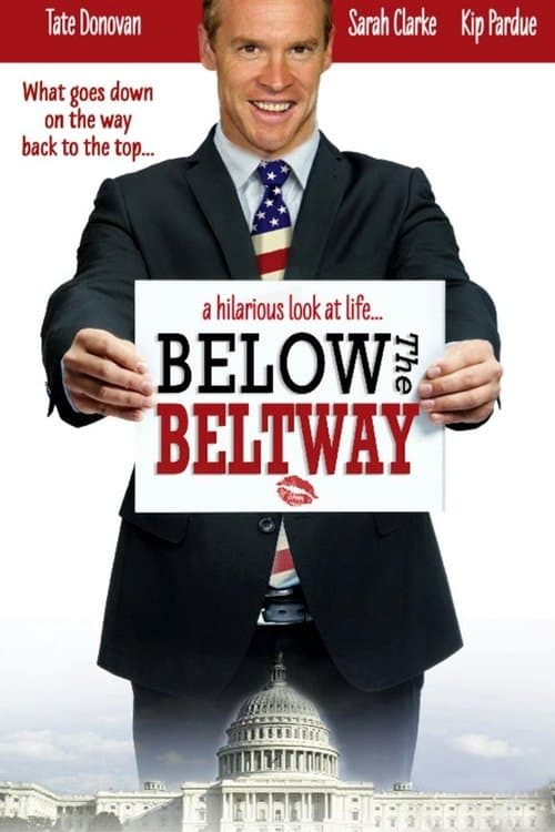 Below the Beltway (2010) poster
