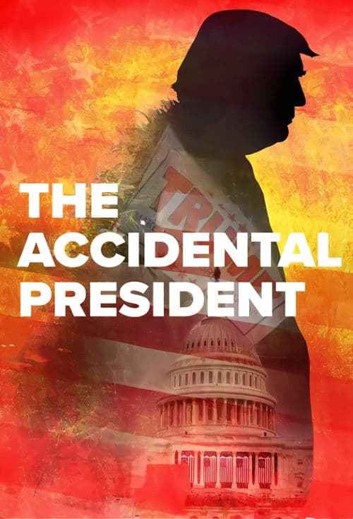 The Accidental President (2020) poster