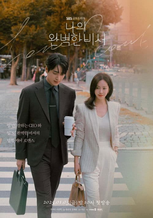 나의 완벽한 비서 (2025) poster