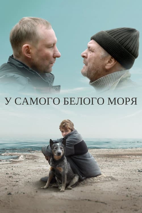 У самого белого моря (2022) poster