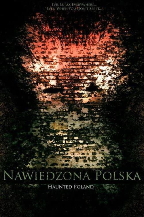 Nawiedzona Polska (2011) poster