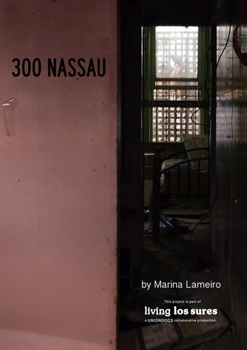 300 Nassau (2015) poster