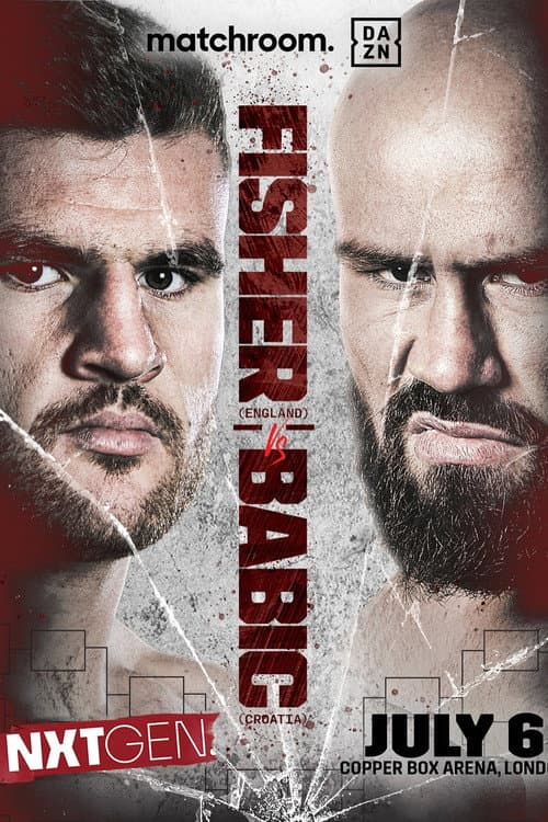 Johnny Fisher vs. Alen Babic (2024) poster