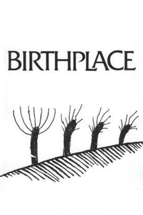 Miejsce urodzenia (1992) poster
