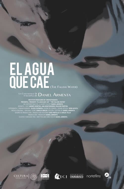 El agua que cae (2019) poster
