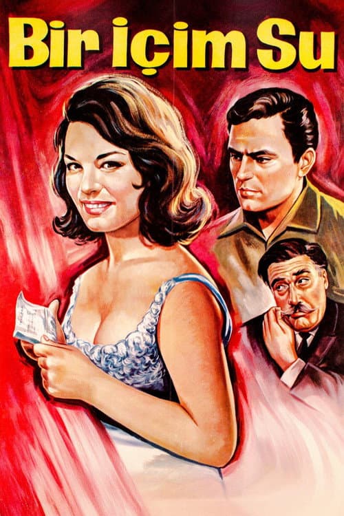 Bir İçim Su (1964) poster