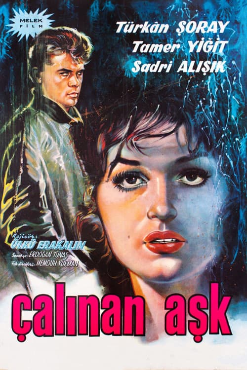 Çalınan Aşk (1963) poster