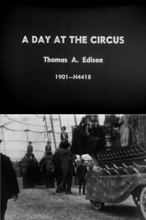 Day at the Circus (1901) poster