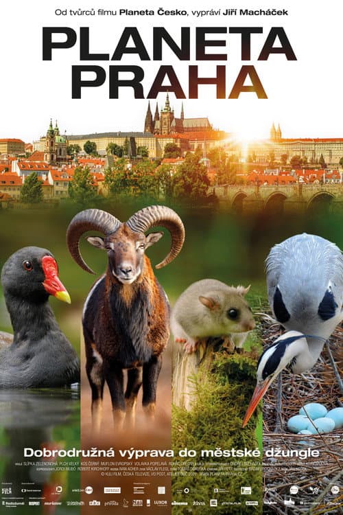 Planeta Praha (2022) poster