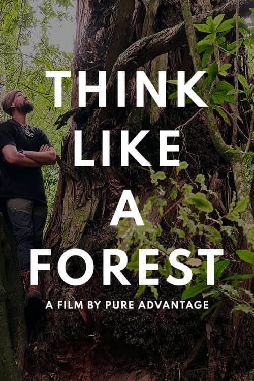 Think Like a Forest (2025) poster