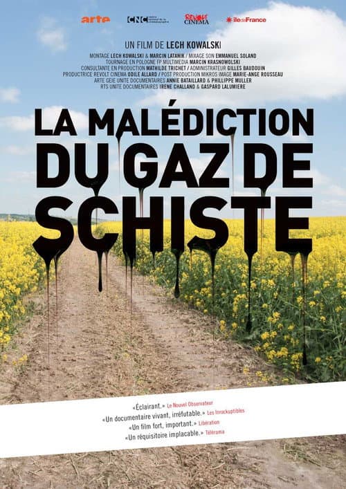 Gas-Fieber (2013) poster