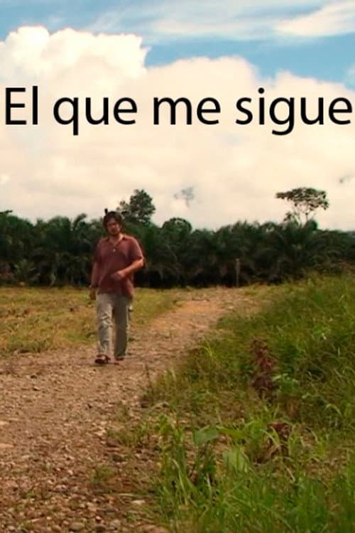 El que me sigue (2014) poster