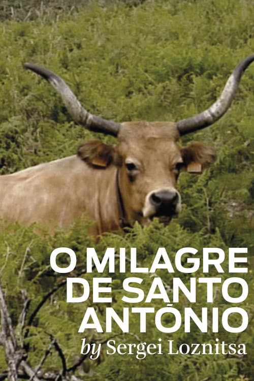 O milagre de Santo Antonio (2012) poster