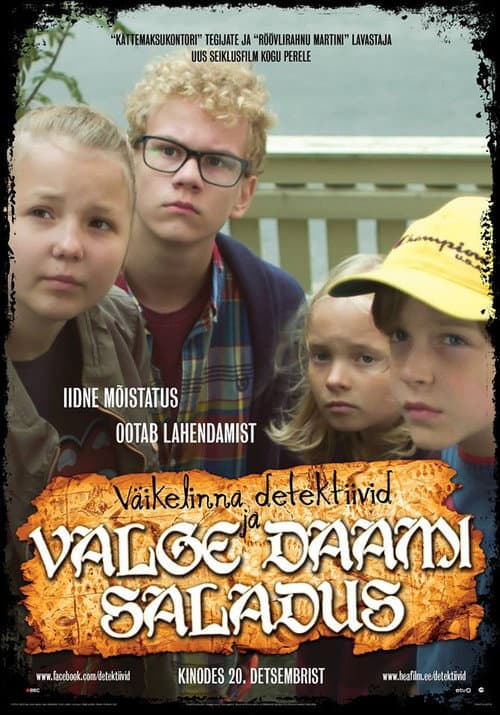Väikelinna detektiivid ja valge daami saladus (2013) poster