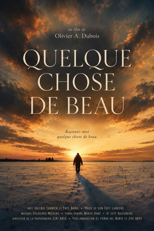 Something Beautiful - Quelque chose de beau (2026) poster