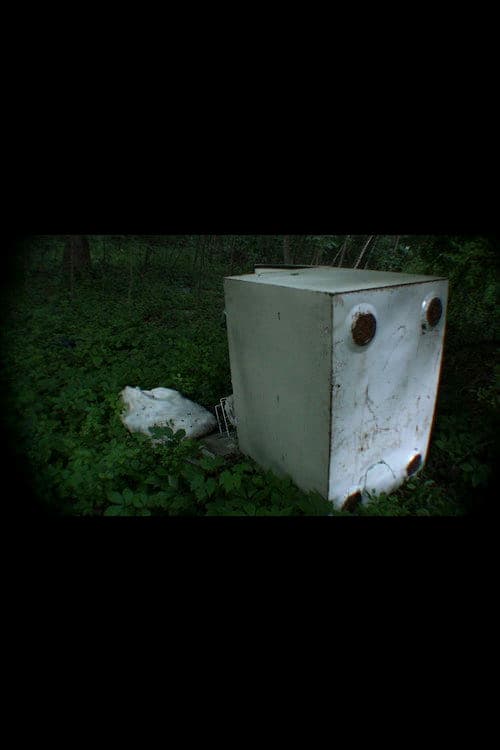 17 New Dam Rd. (2012) poster