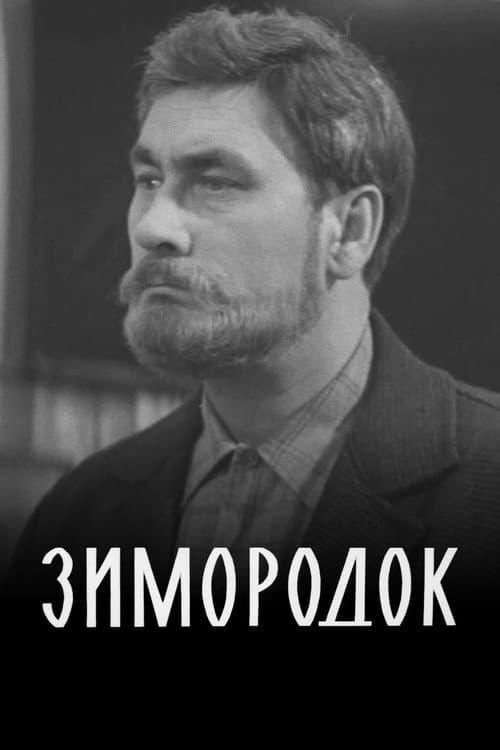 Зимородок (1972) poster