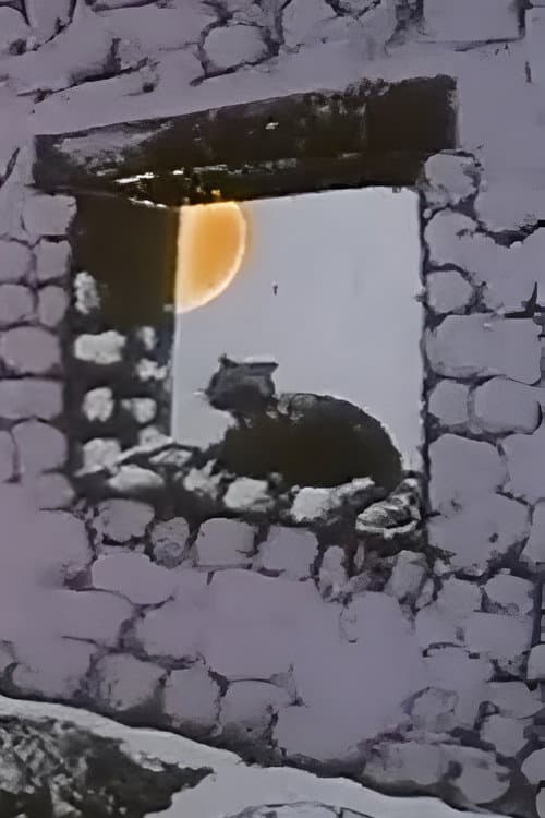 Le chat caméléon (1975) poster