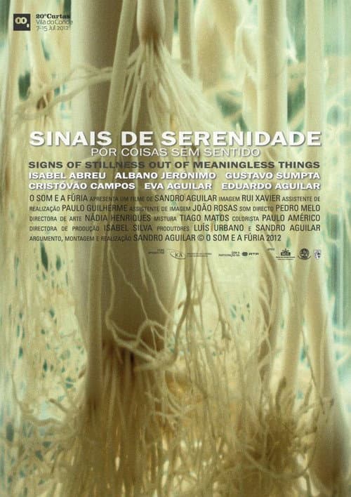 Sinais de Serenidade Por Coisas Sem Sentido (2012) poster