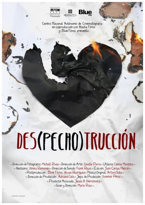 Des(pecho)trucción (2013) poster