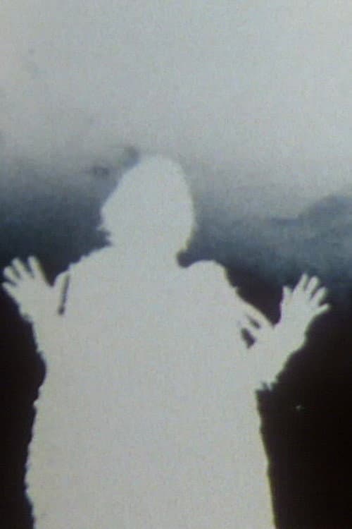 L'Ange Amazonien. Un portrait de Lena Vandrey (1992) poster