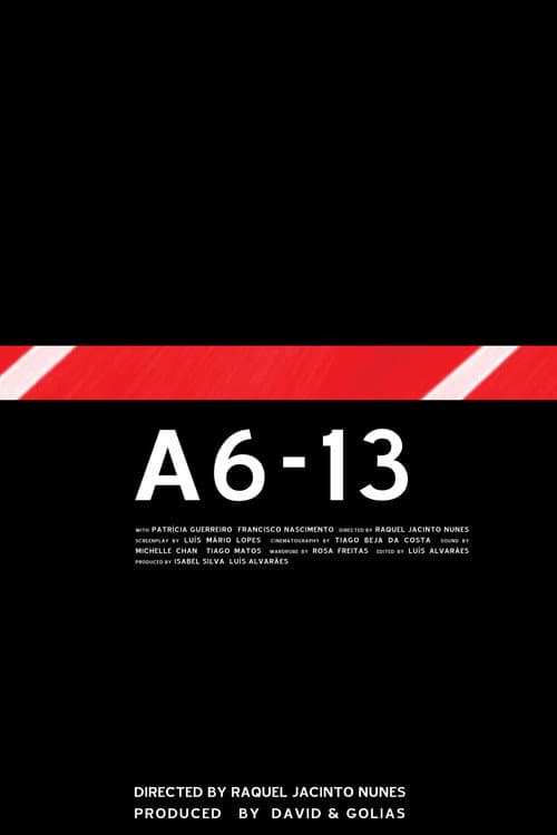 A6-13 (2005) poster