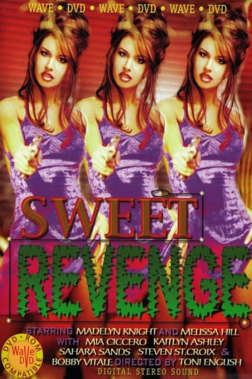 Sweet Revenge (1997) poster
