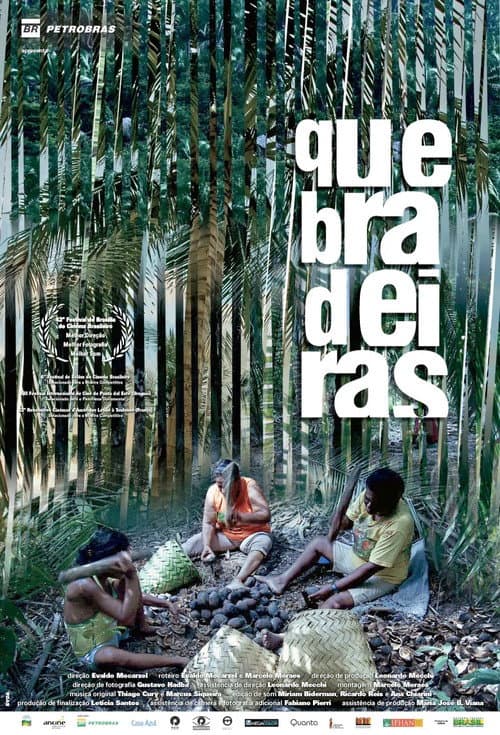 Quebradeiras (2011) poster