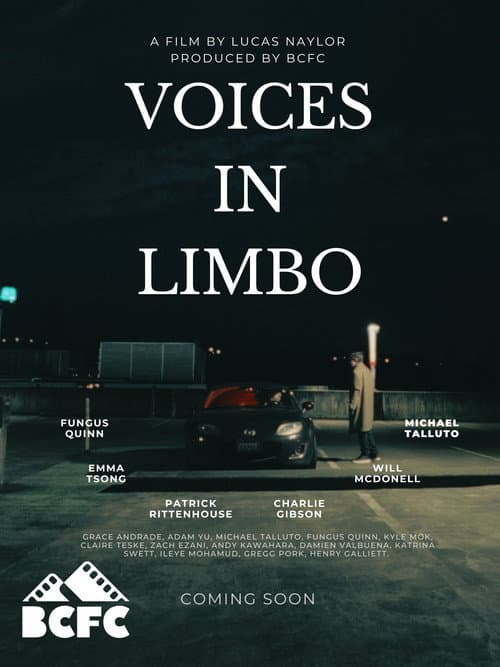 Voices In Limbo (2026) poster
