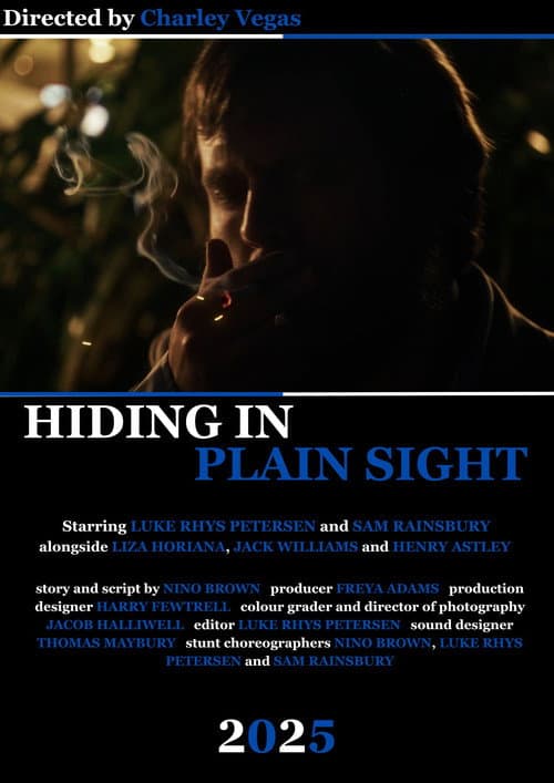 Hiding in Plain Sight (2025) poster