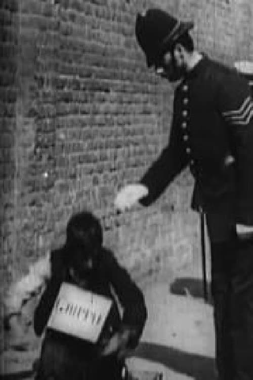 The Beggar's Deceit (1900) poster
