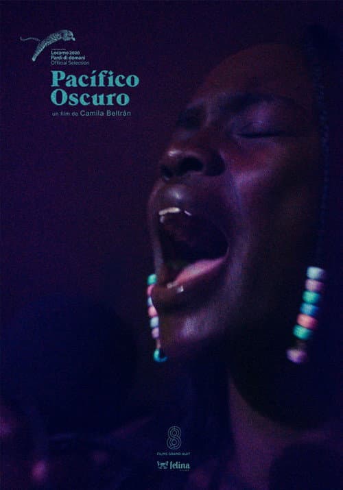 Pacífico Oscuro (2020) poster