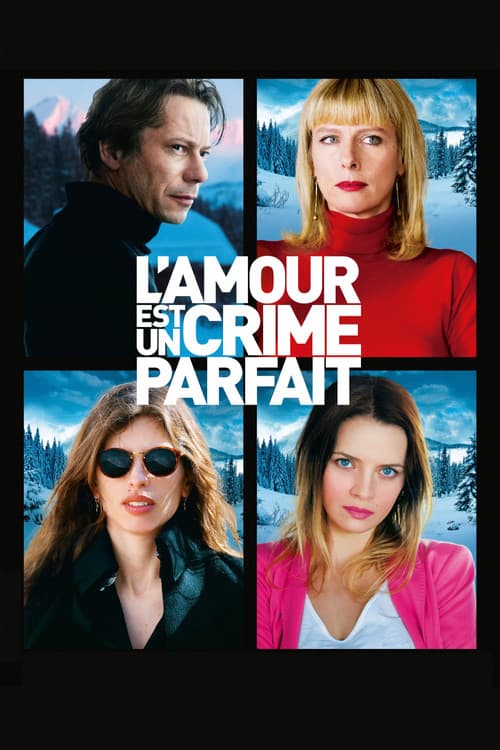L'amour est un crime parfait (2013) poster