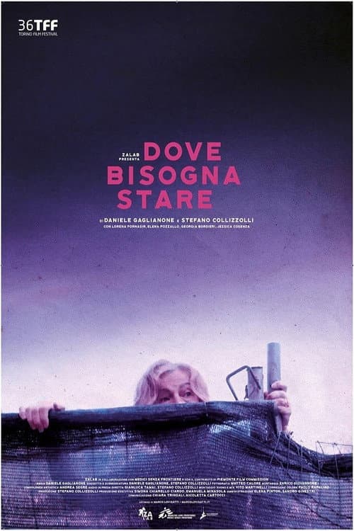 Dove bisogna stare (2019) poster