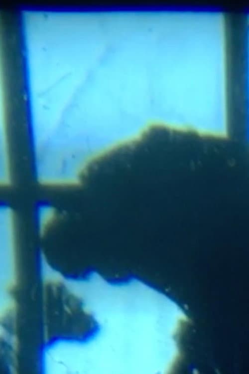 Dog at Window (2017) poster