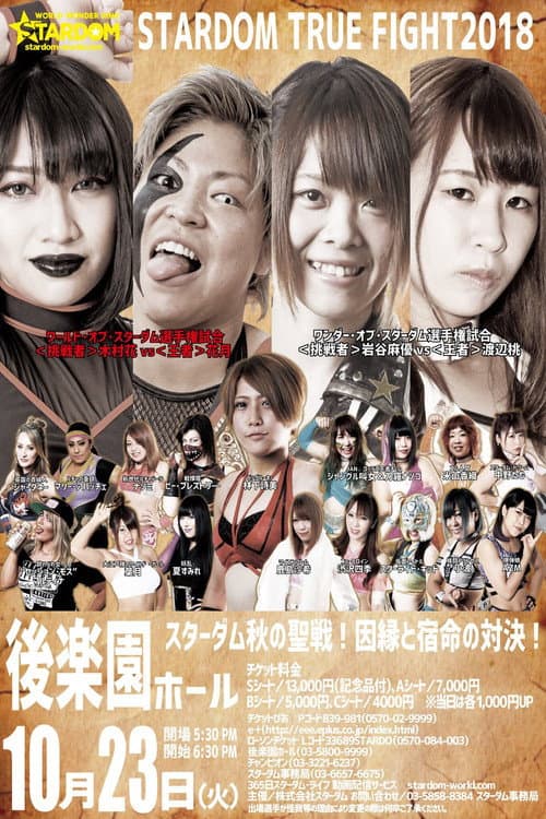 STARDOM TRUE FIGHT 2018 (2018) poster