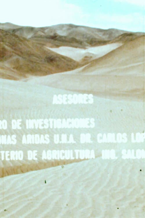 Las Arenas y el Hombre (1978) poster