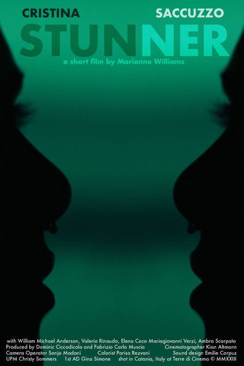 Stunner () poster