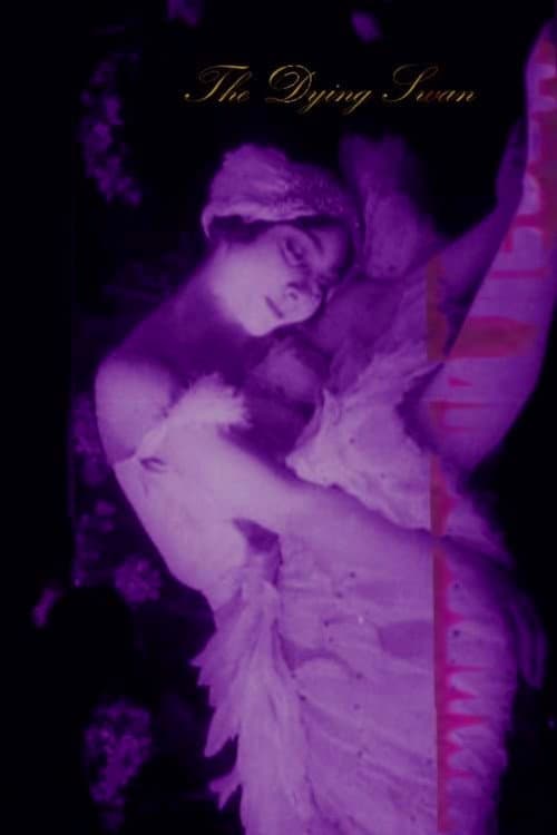 Умирающий лебедь (1917) poster