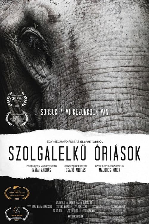 Szolgalelkű Óriások (2020) poster