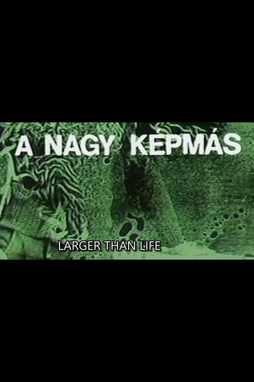 A nagy képmás (1977) poster