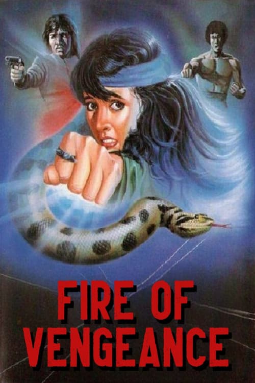 Perhitungan Terakhir (1982) poster