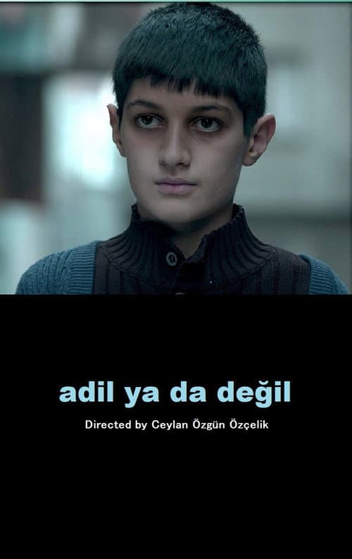 Adil ya da Değil (2011) poster