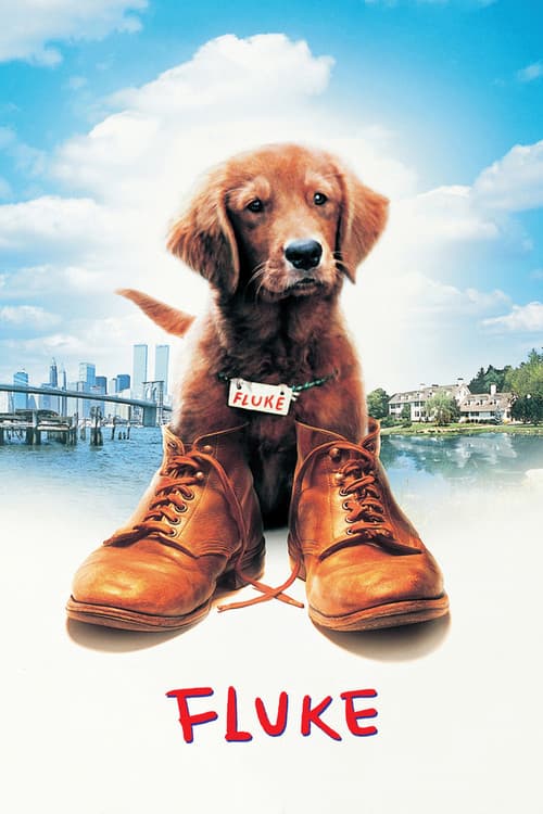 Fluke (1995) poster