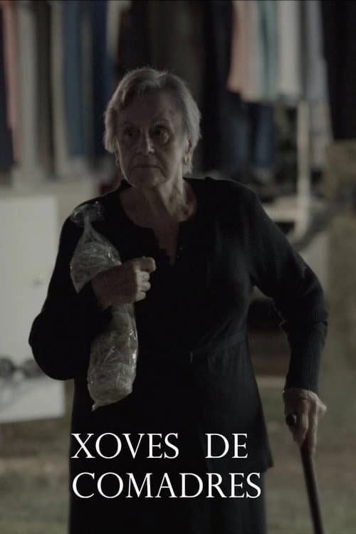 Xoves de comadres (2020) poster