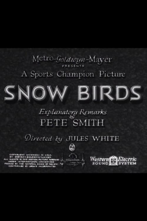 Snow Birds (1932) poster