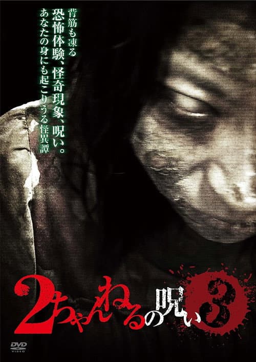 2ちゃんねるの呪い VOL. 3 (2011) poster