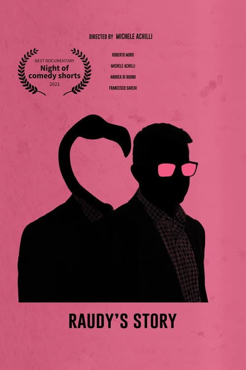 Raudy's Story (2017) poster