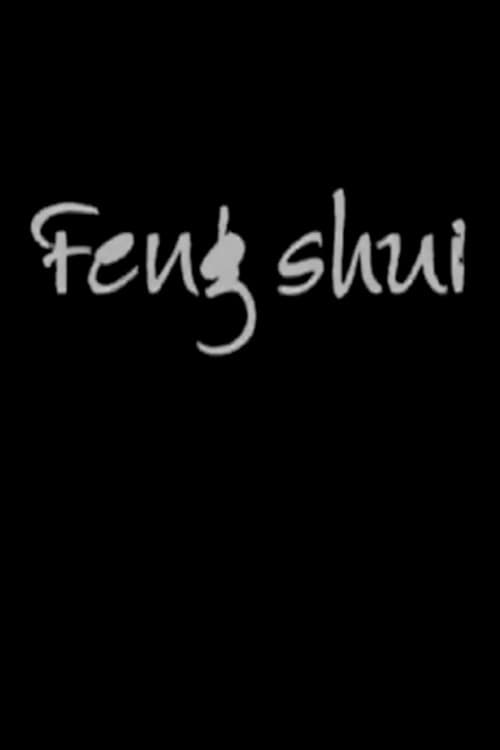 Feng Shui (2005) poster
