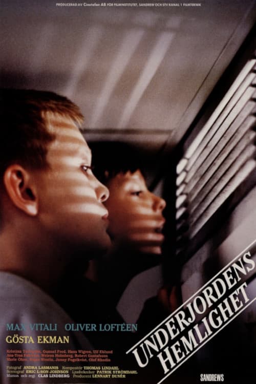 Underjordens hemlighet (1991) poster
